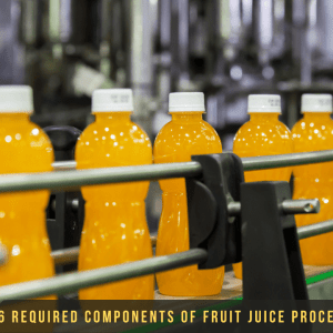 Fruit Juice Processing Equipment